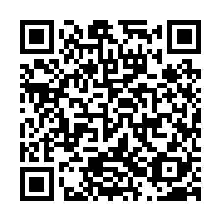 QR code for D2I 228