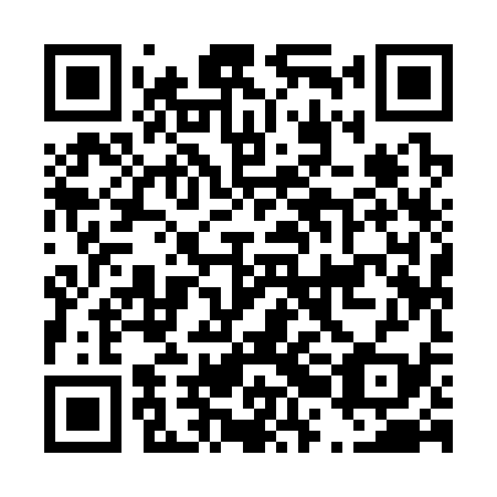 QR code for D2I 339