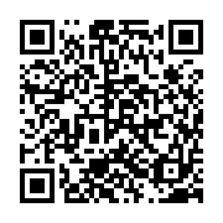 QR code for D2I 913