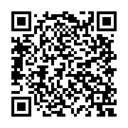 QR code for D2I540