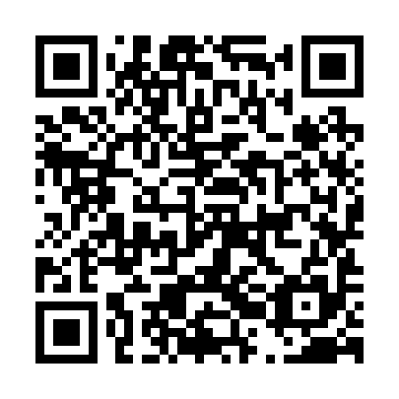 QR code for D2K 295