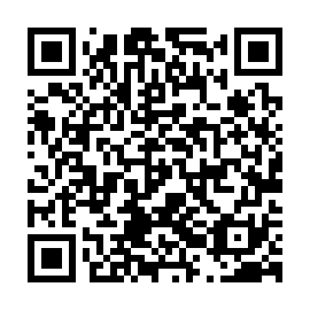QR code for D2L 371