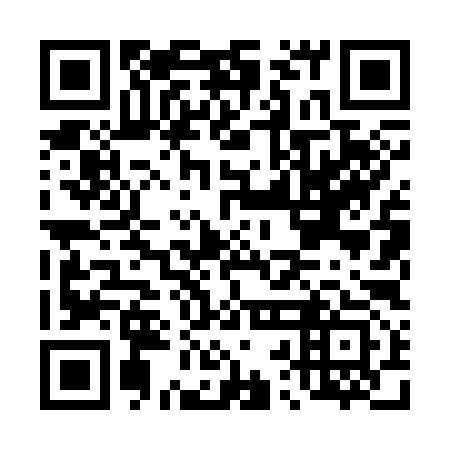 QR code for D2L 393