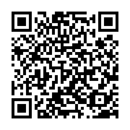 QR code for D2L 538