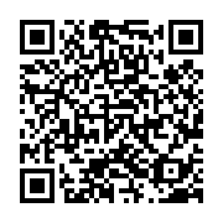 QR code for D2L439
