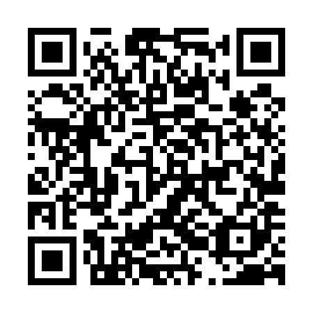 QR code for plate D2L 581