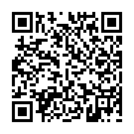 QR code for D2N 217