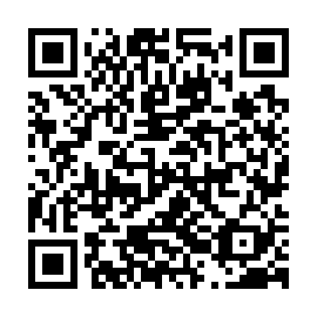 QR code for D2N 729