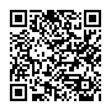 QR code for D2N590