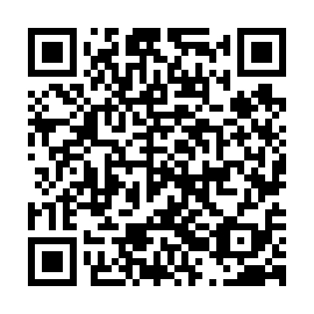 QR code for plate D2N 619