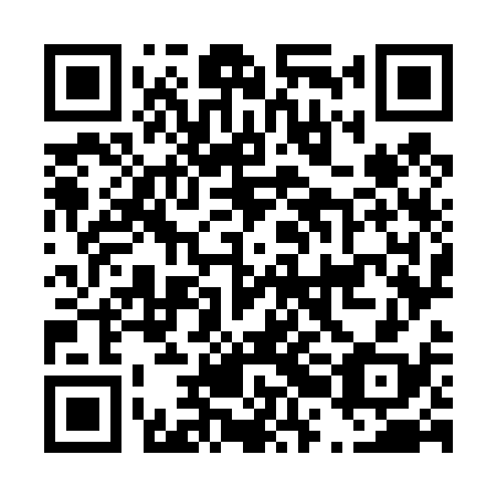 QR code for plate D2O 438