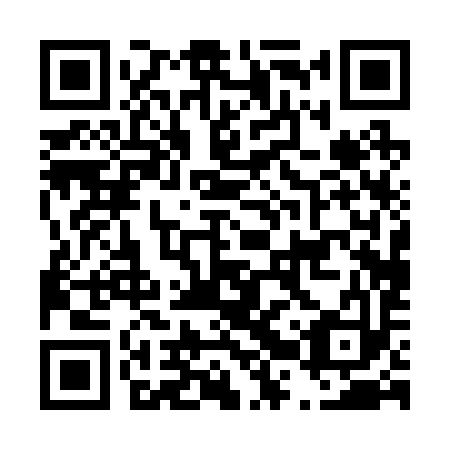 QR code for D2P 293