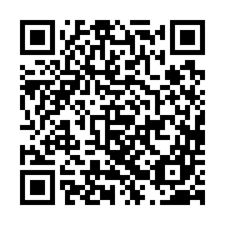 QR code for D2P 747