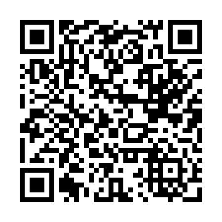 QR code for D2P141