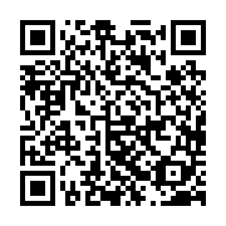 QR code for D2P249