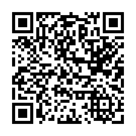 QR code for D2P394