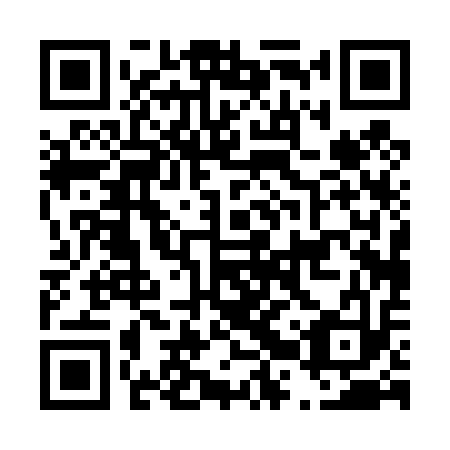QR code for D2P413