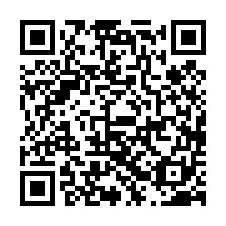 QR code for D2P451