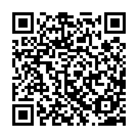 QR code for plate D2P 505