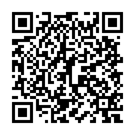 QR code for D2P511