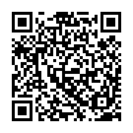 QR code for D2R 497