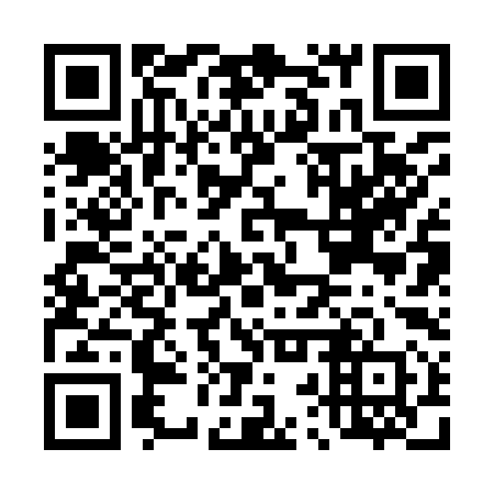 QR code for D2R 990
