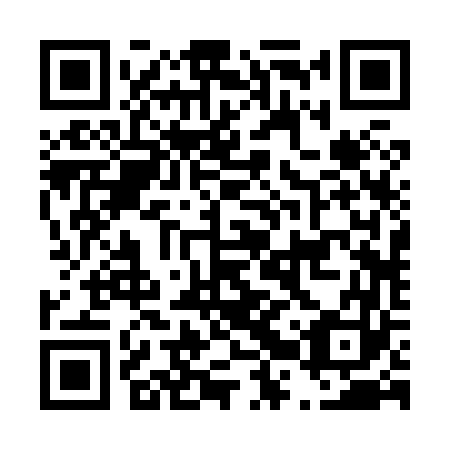 QR code for plate D2R 863