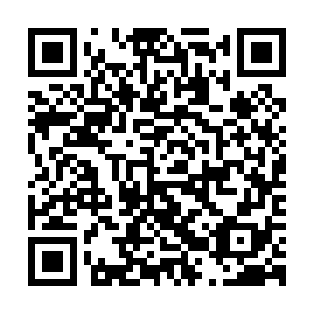 QR code for D2S 078