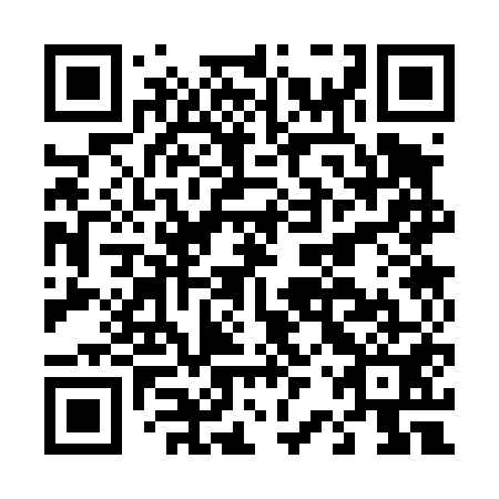 QR code for D2S 451