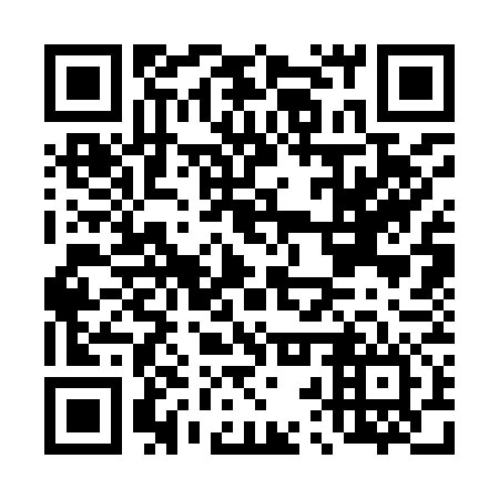 QR code for D2S 976