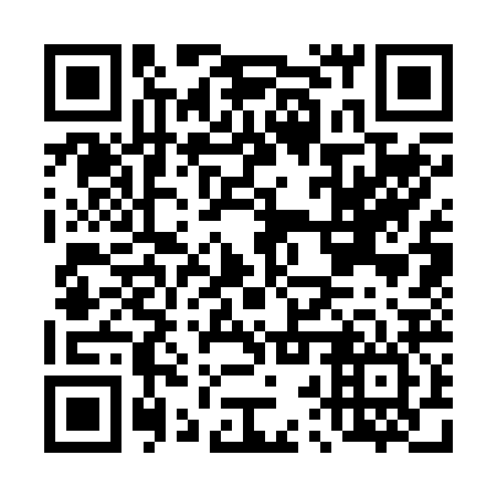 QR code for D2S226