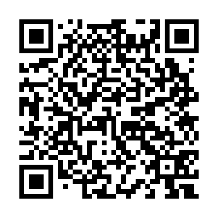 QR code for D2S371