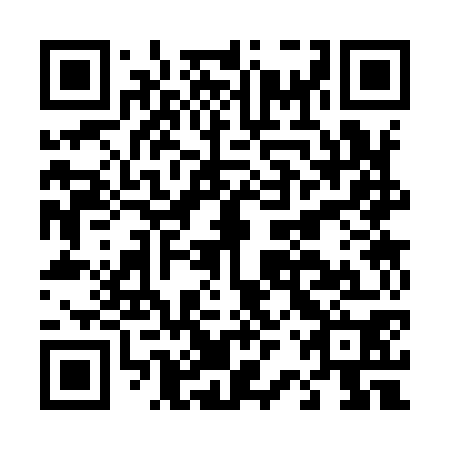 QR code for D2S970
