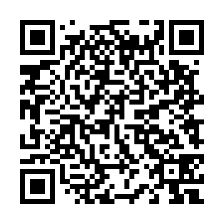 QR code for D2T 538