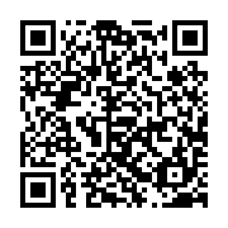 QR code for D2T294