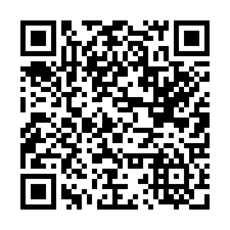 QR code for D2T325