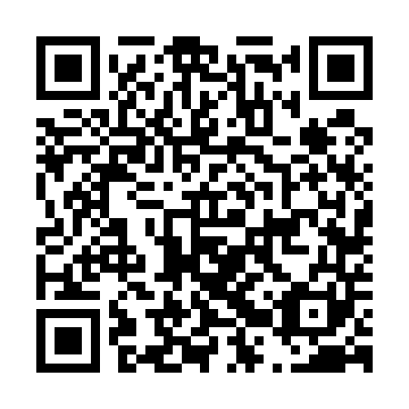 QR code for plate D2V 541
