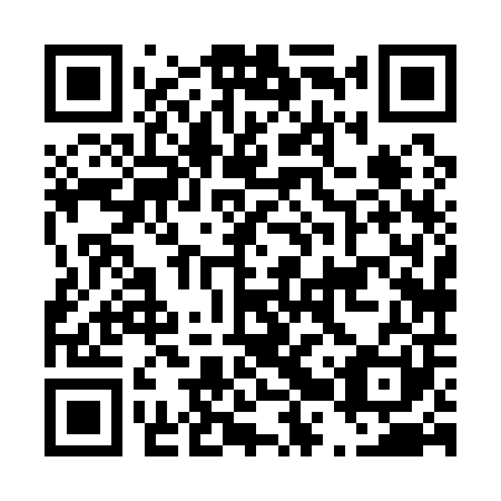 QR code for D2X 101