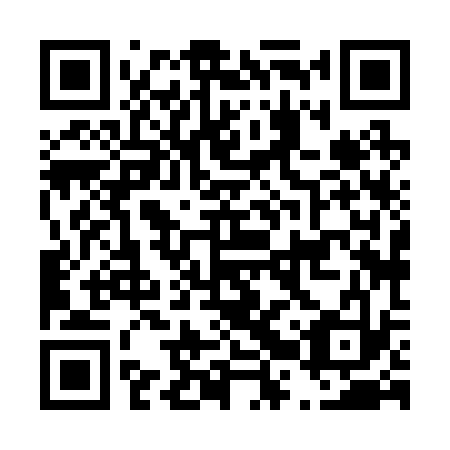 QR code for D2X 233
