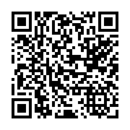 QR code for D2X 287