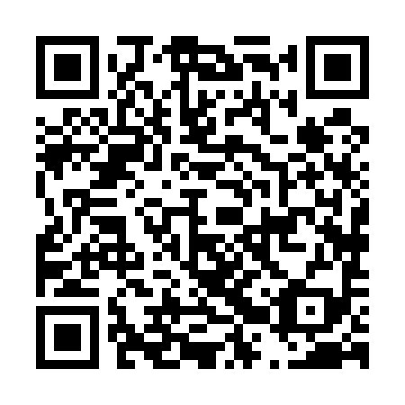 QR code for D2X 599