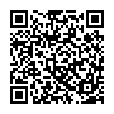 QR code for D2X217