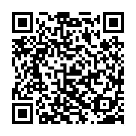 QR code for D2X219