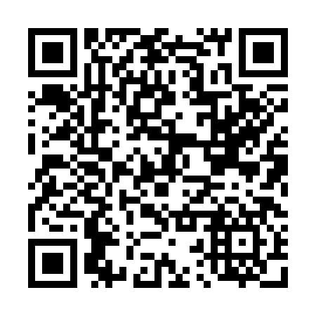 QR code for plate D2X 387
