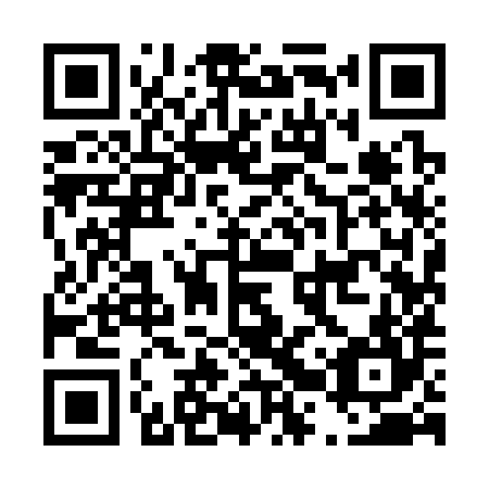 QR code for D2Y 384