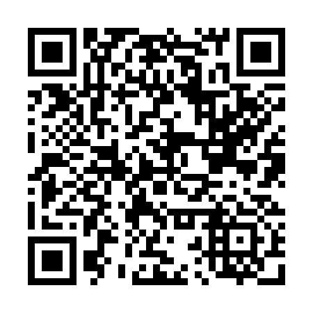 QR code for D2Z 333