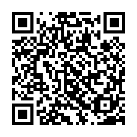 QR code for D2Z070
