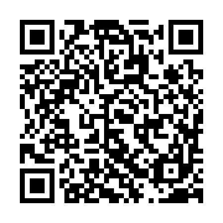 QR code for D2Z397