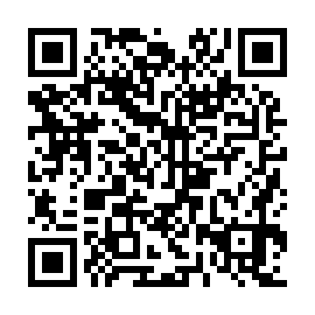 QR code for D2Z970