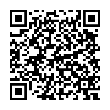QR code for D3B 419